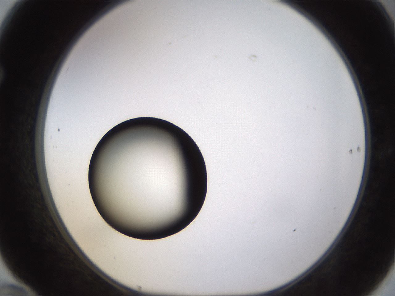 folderID399_plateID1399_batchID5060_wellNum70_profileID1_d1_r85911_ef.jpg