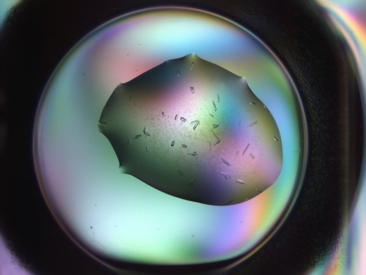 02kn_G3_ImagerDefaults_9.jpg