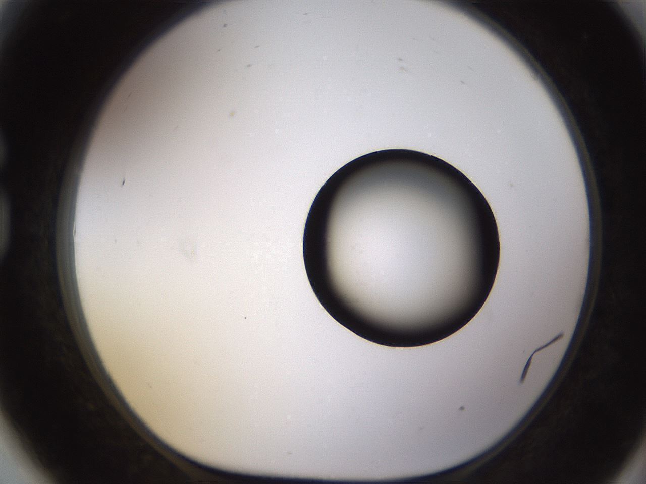 folderID399_plateID1399_batchID5060_wellNum81_profileID1_d1_r85922_ef.jpg
