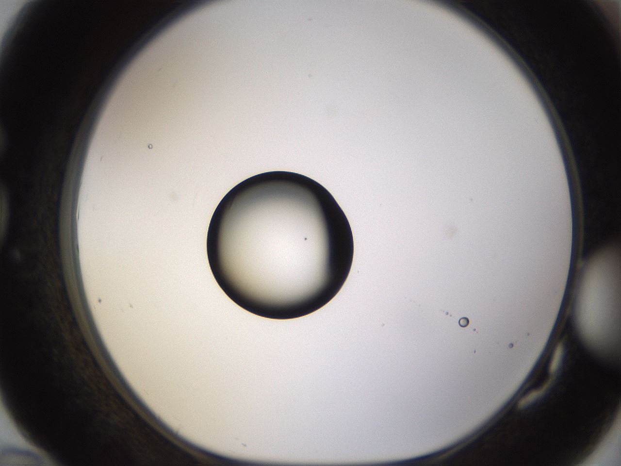 folderID399_plateID1399_batchID5060_wellNum82_profileID1_d1_r85923_ef.jpg