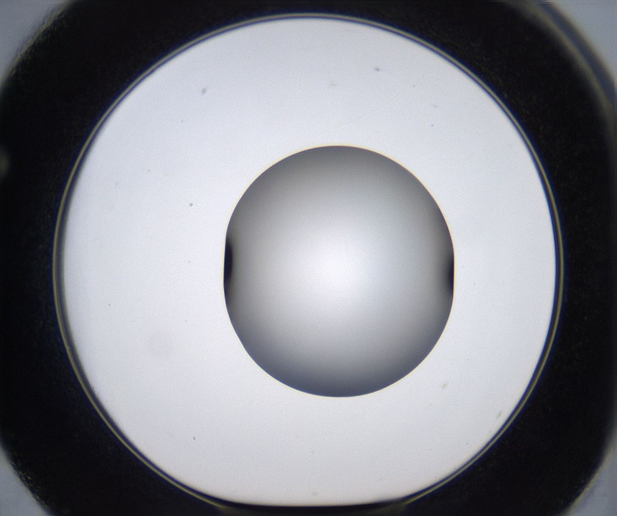 folderID399_plateID2399_batchID11265_wellNum62_profileID1_d1_r177344_ef.jpg