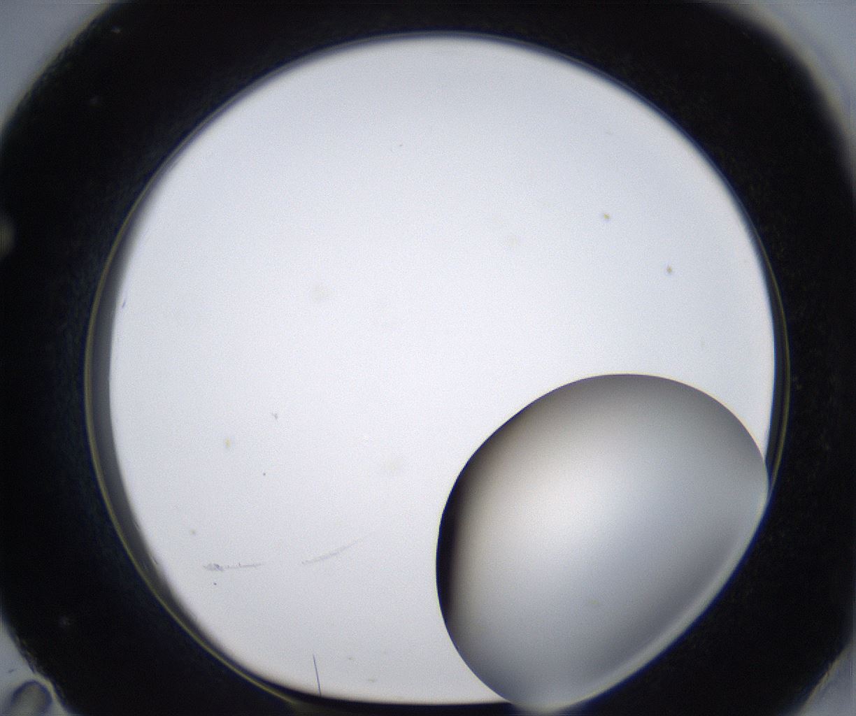 folderID399_plateID2399_batchID11265_wellNum71_profileID1_d1_r177353_ef.jpg