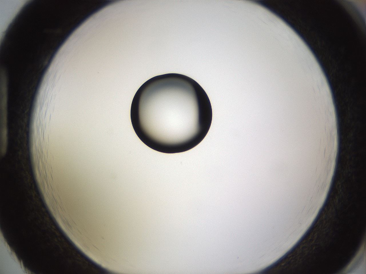 folderID399_plateID1399_batchID5060_wellNum86_profileID1_d1_r85927_ef.jpg