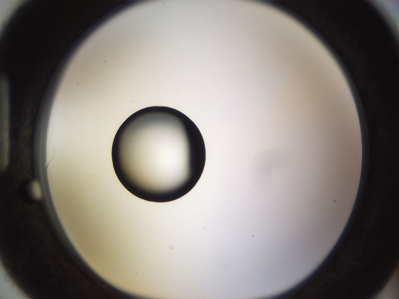 folderID399_plateID1399_batchID5060_wellNum90_profileID1_d1_r85931_ef.jpg
