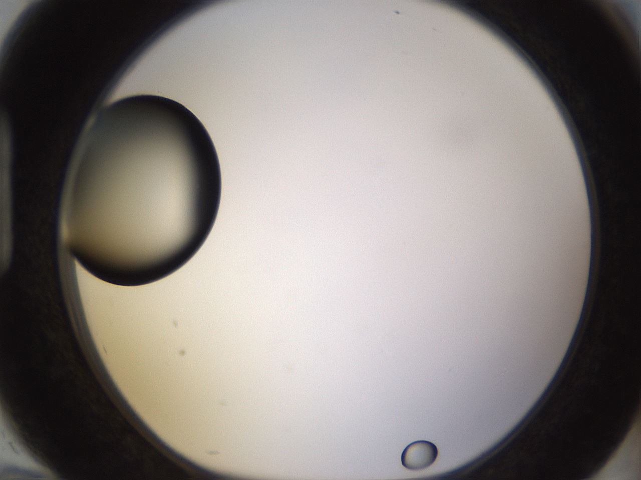 folderID399_plateID1399_batchID5060_wellNum94_profileID1_d1_r85935_ef.jpg