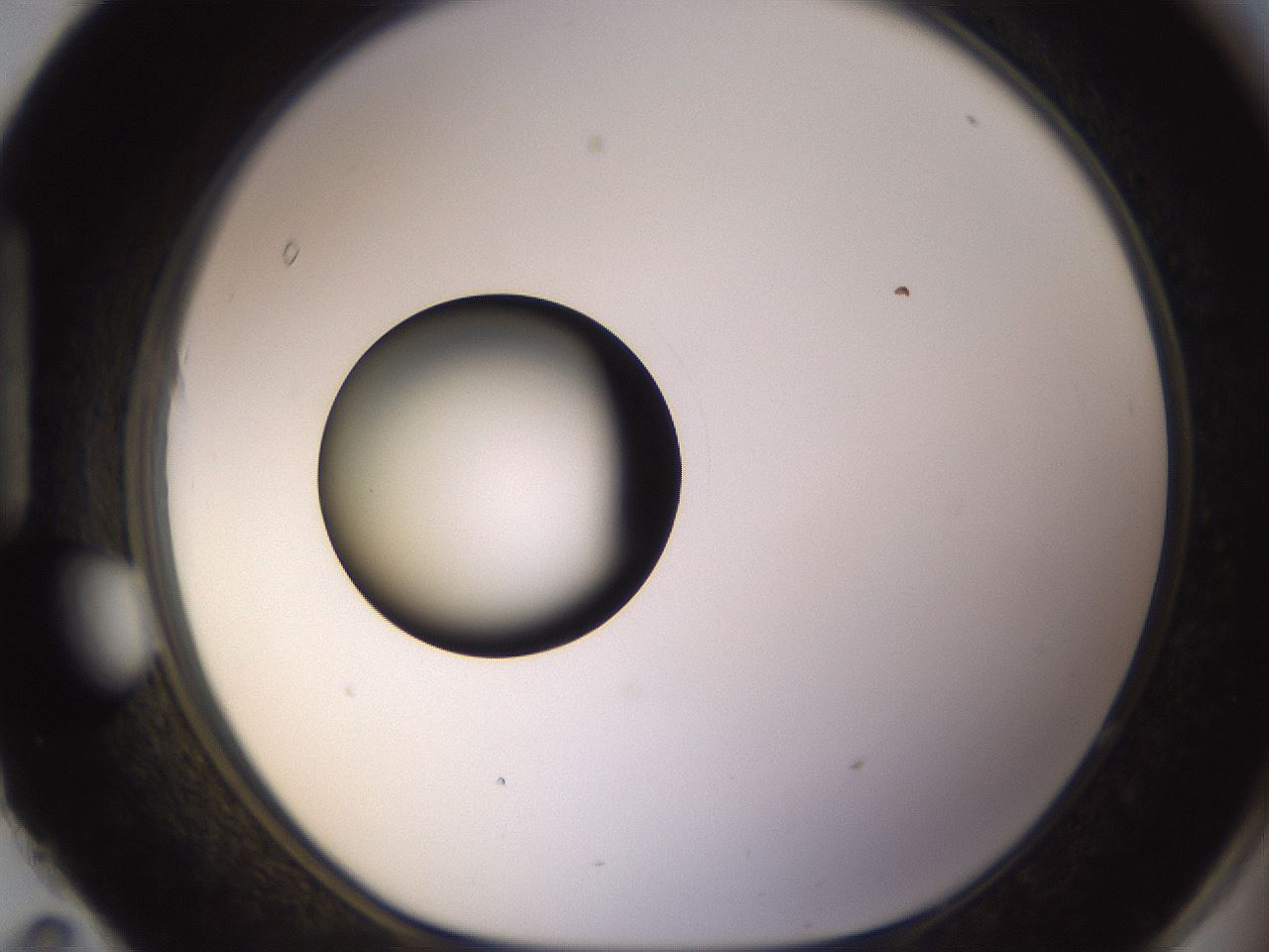folderID399_plateID1399_batchID5060_wellNum95_profileID1_d1_r85936_ef.jpg