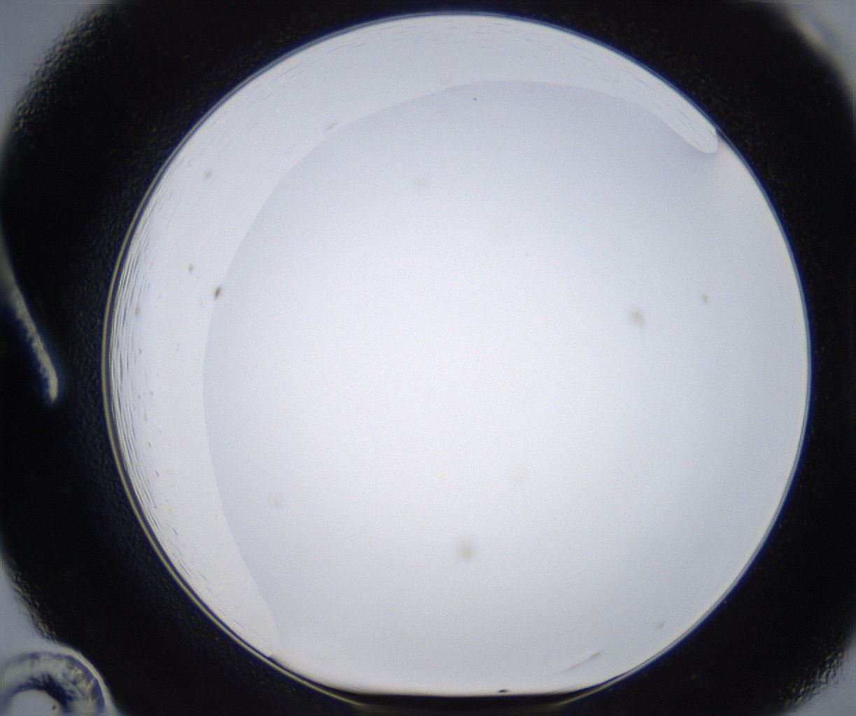 folderID399_plateID2399_batchID11265_wellNum12_profileID1_d1_r177294_ef.jpg