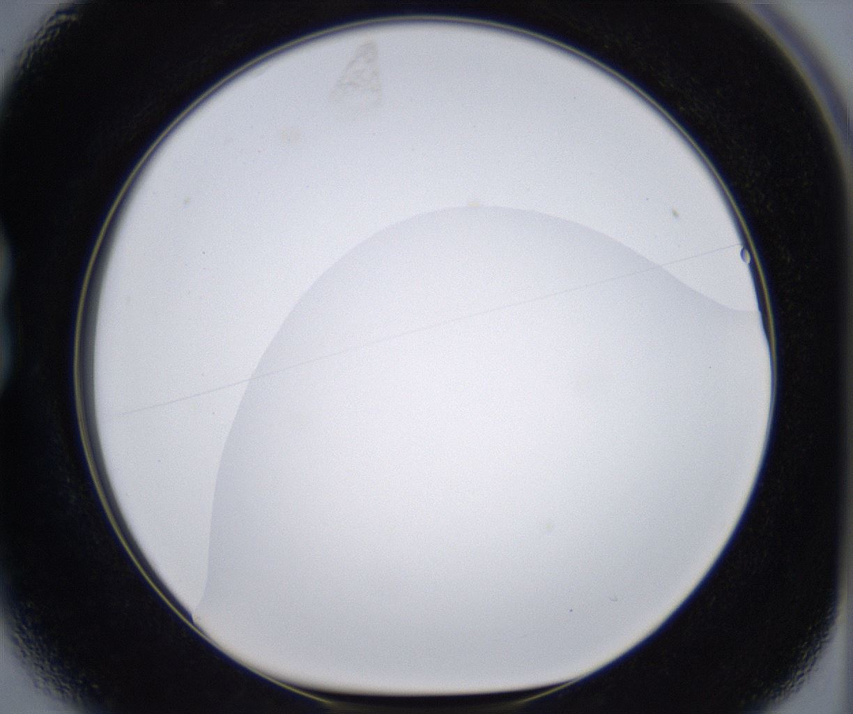 folderID399_plateID2399_batchID11265_wellNum13_profileID1_d1_r177295_ef.jpg