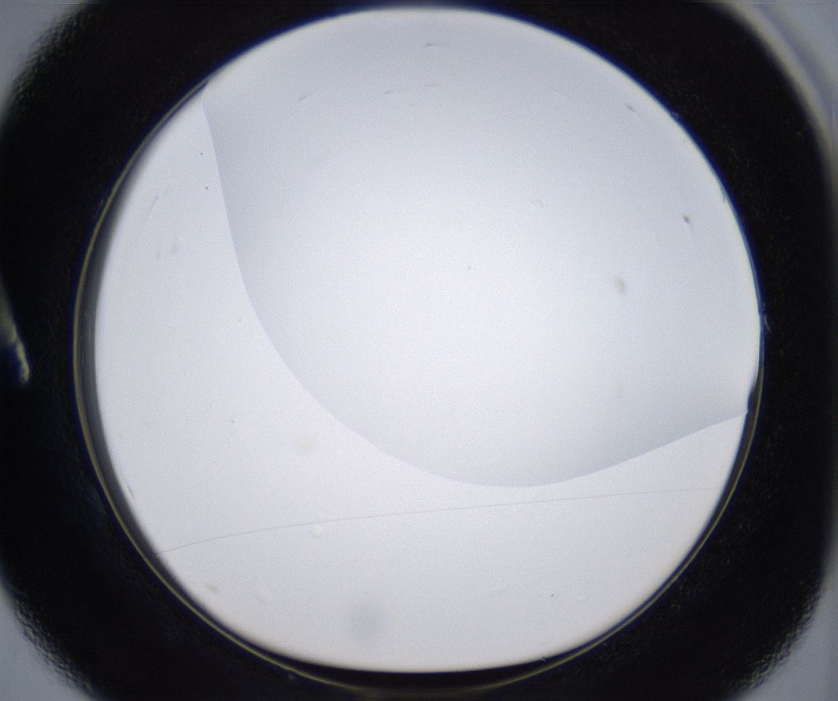 folderID399_plateID2399_batchID11265_wellNum1_profileID1_d1_r177283_ef.jpg