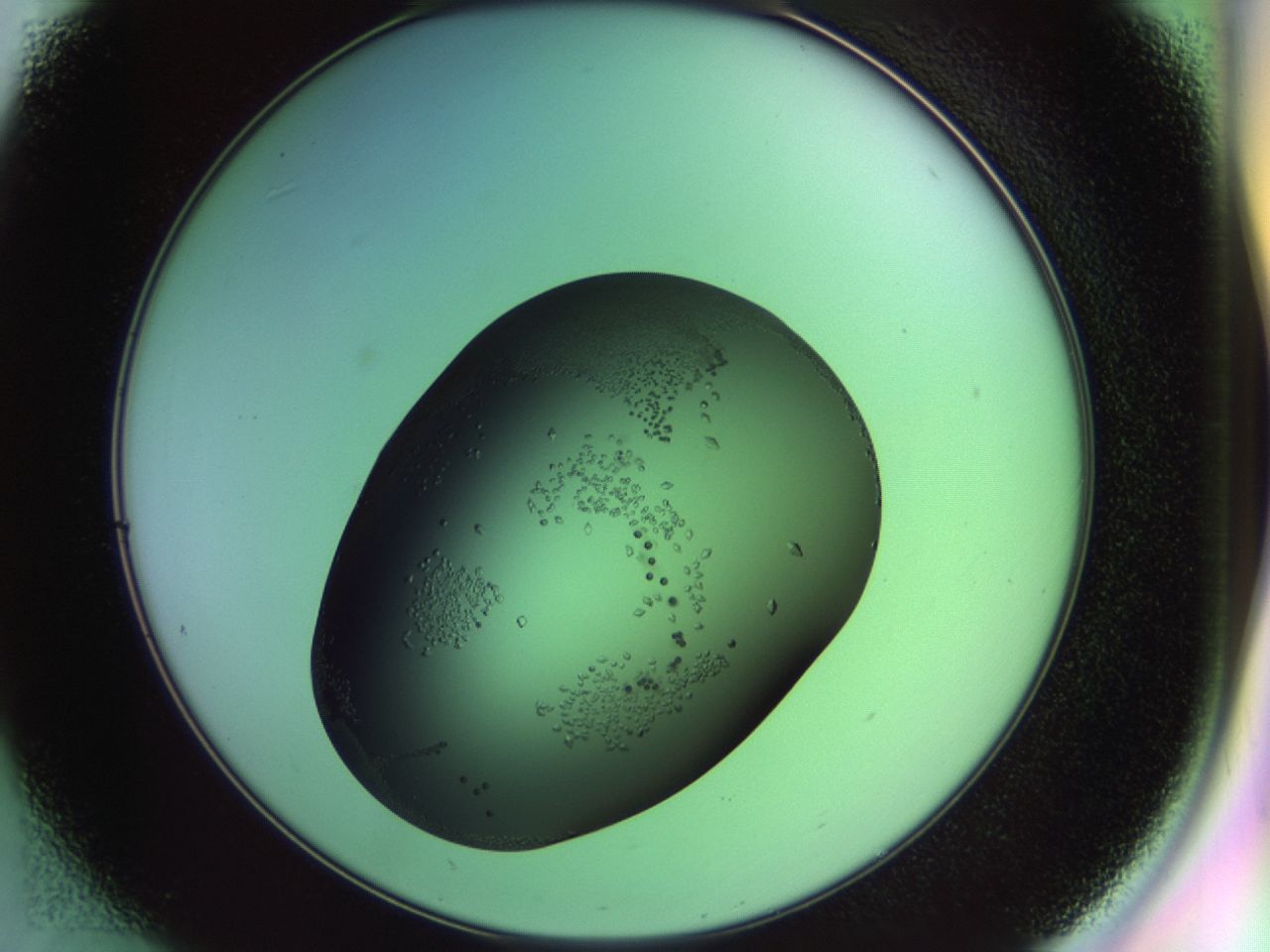 02kn_D1_ImagerDefaults_9.jpg