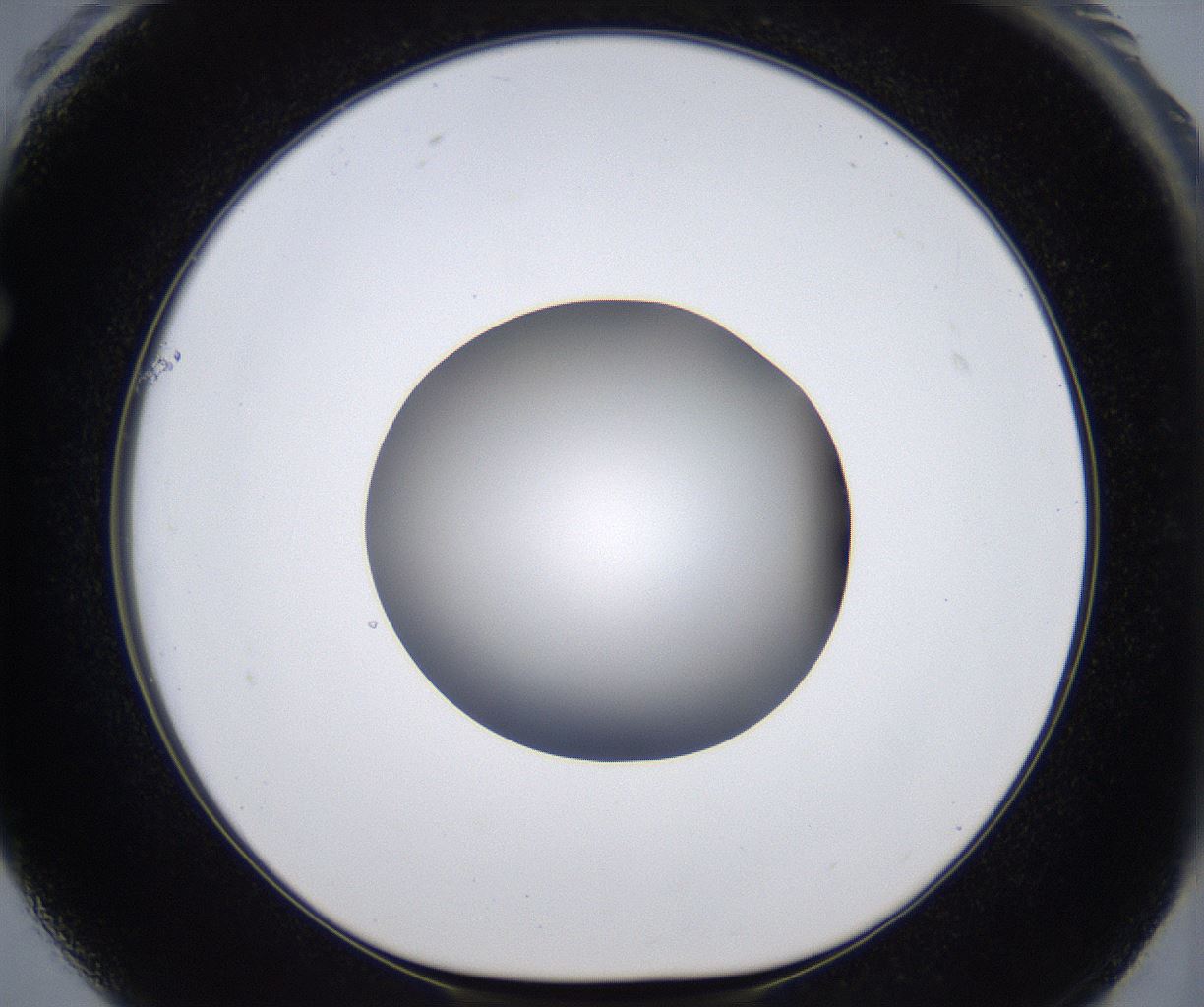folderID399_plateID2399_batchID11265_wellNum61_profileID1_d1_r177343_ef.jpg