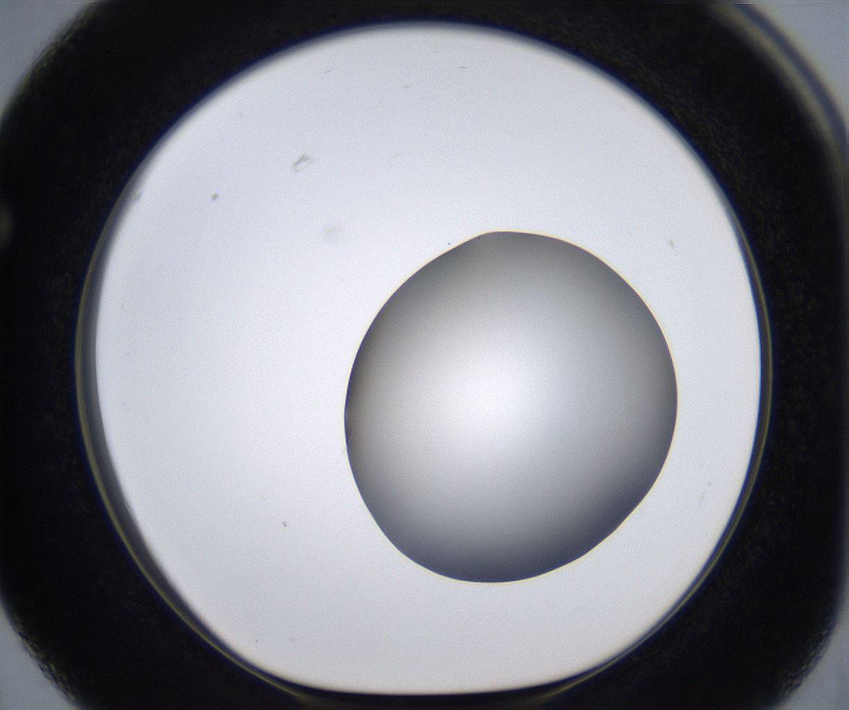 folderID399_plateID2399_batchID11265_wellNum63_profileID1_d1_r177345_ef.jpg