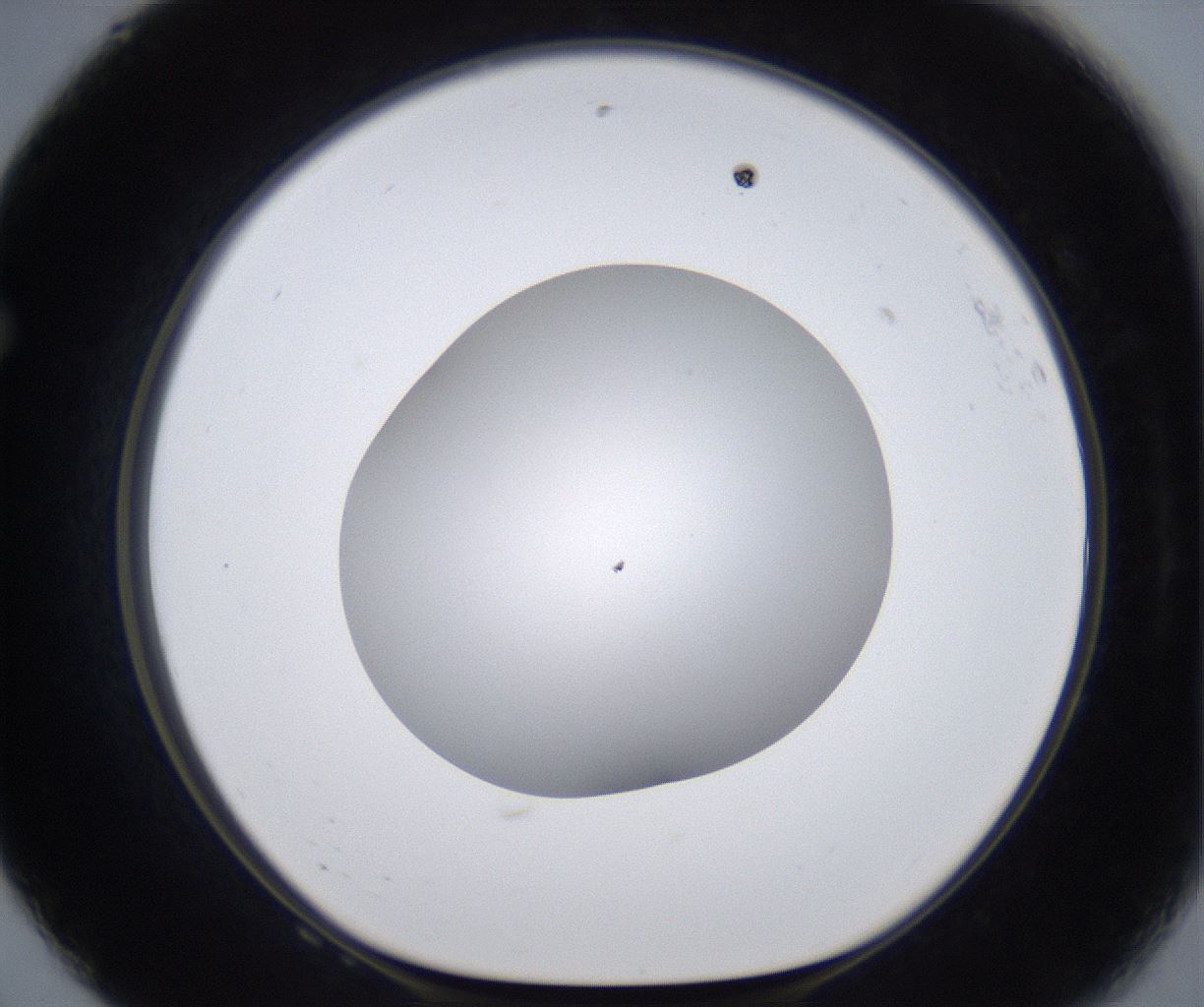folderID399_plateID2399_batchID11265_wellNum68_profileID1_d1_r177350_ef.jpg