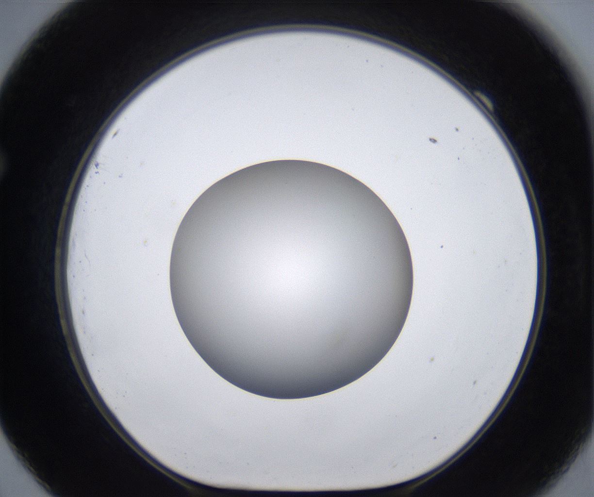 folderID399_plateID2399_batchID11265_wellNum69_profileID1_d1_r177351_ef.jpg