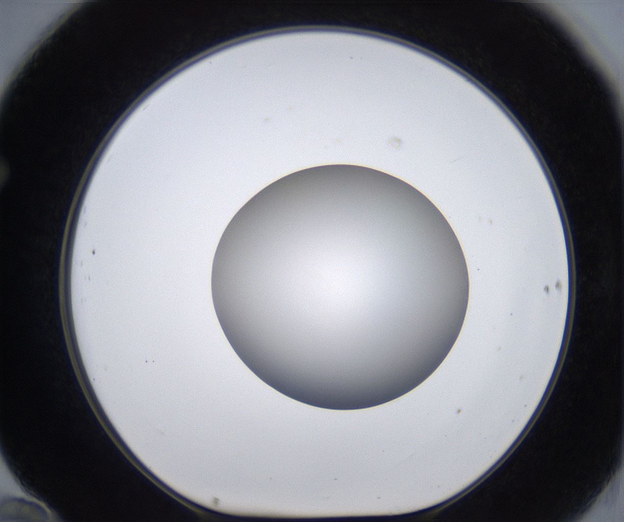 folderID399_plateID2399_batchID11265_wellNum70_profileID1_d1_r177352_ef.jpg