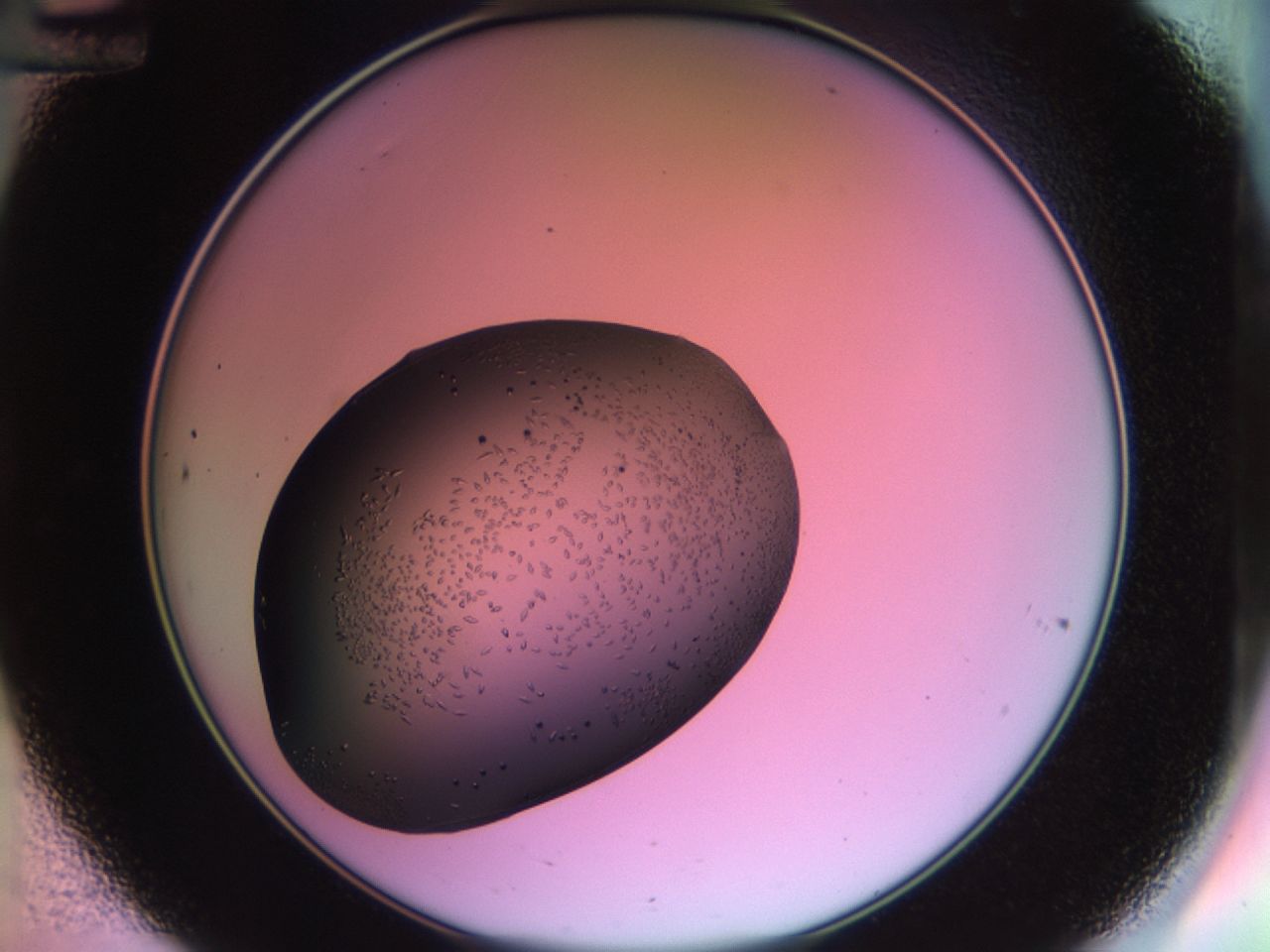 02kn_C12_ImagerDefaults_9.jpg