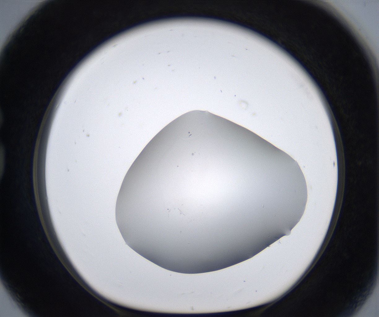 folderID399_plateID2399_batchID11265_wellNum80_profileID1_d1_r177362_ef.jpg
