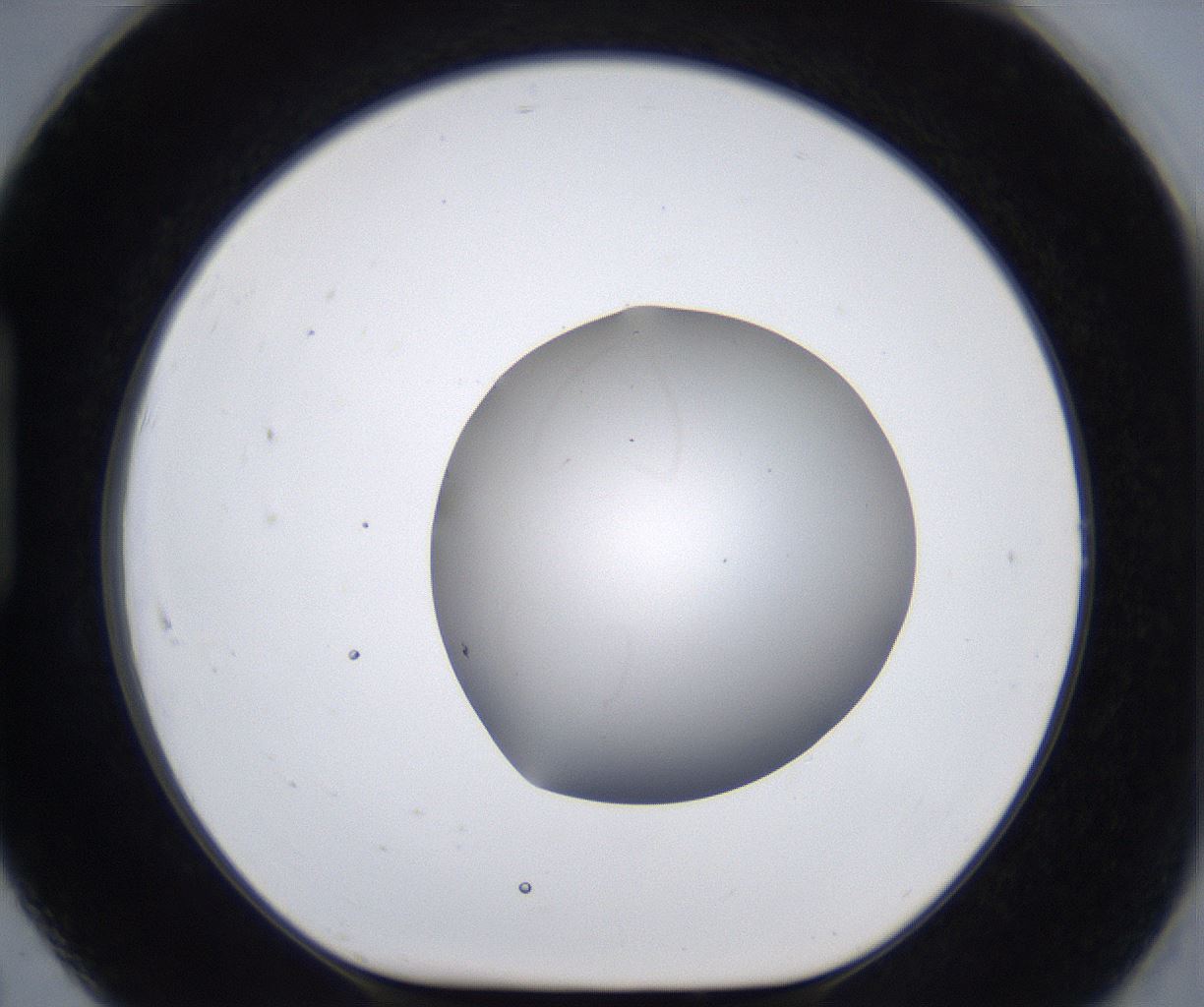 folderID399_plateID2399_batchID11265_wellNum91_profileID1_d1_r177373_ef.jpg