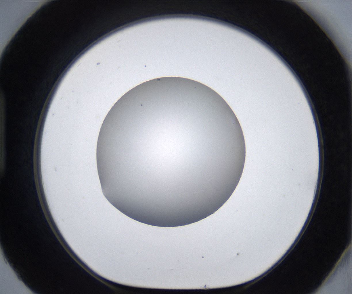 folderID399_plateID2399_batchID11265_wellNum93_profileID1_d1_r177375_ef.jpg