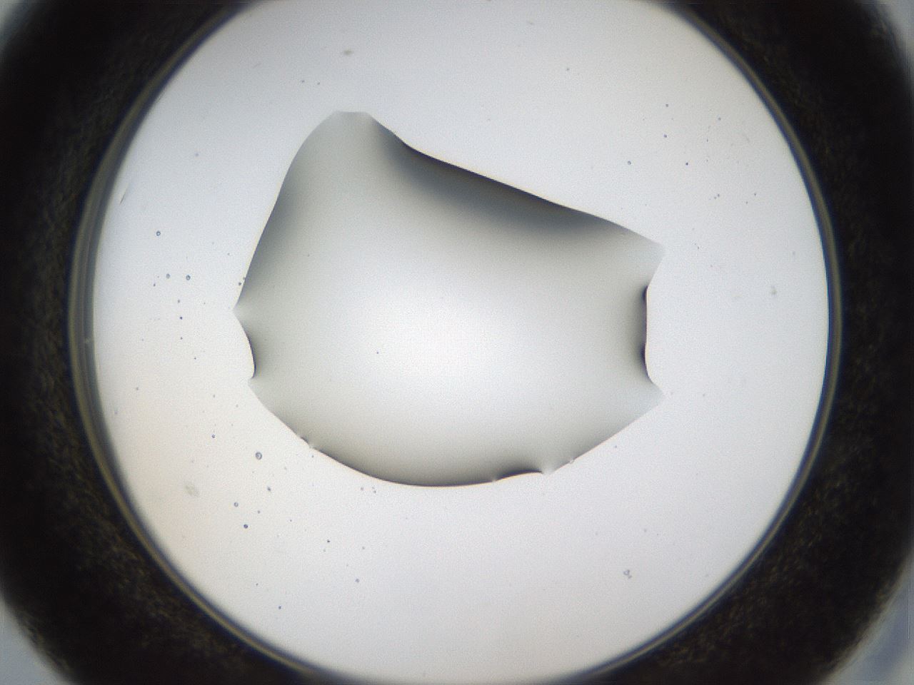 folderID39_plateID1039_batchID2095_wellNum15_profileID1_d2_r45221_ef.jpg