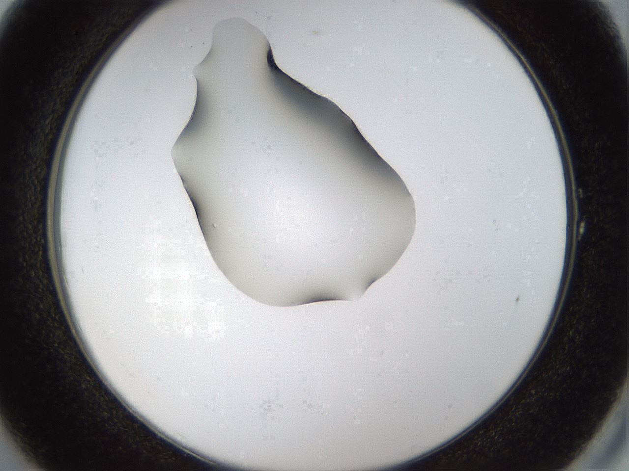 folderID39_plateID1039_batchID2095_wellNum1_profileID1_d2_r45193_ef.jpg