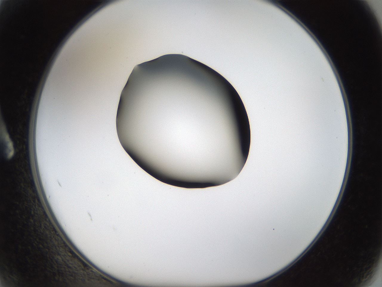 folderID39_plateID1039_batchID2095_wellNum2_profileID1_d1_r45194_ef.jpg