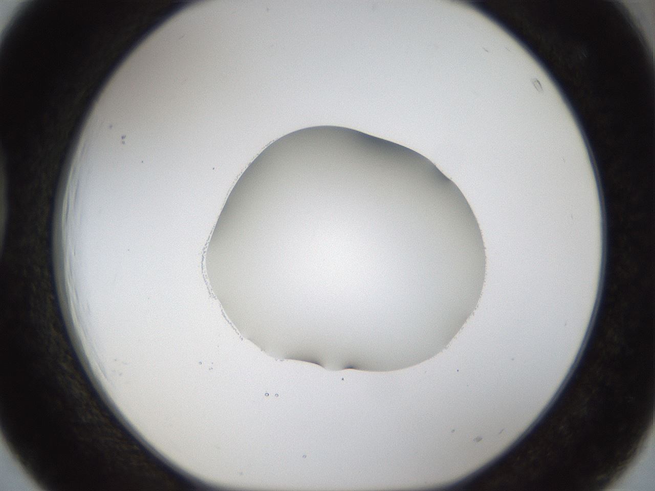 folderID39_plateID1039_batchID2095_wellNum39_profileID1_d1_r45268_ef.jpg