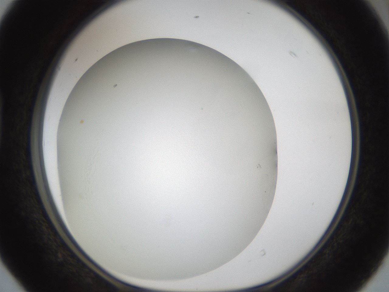 folderID39_plateID1039_batchID2095_wellNum40_profileID1_d1_r45270_ef.jpg