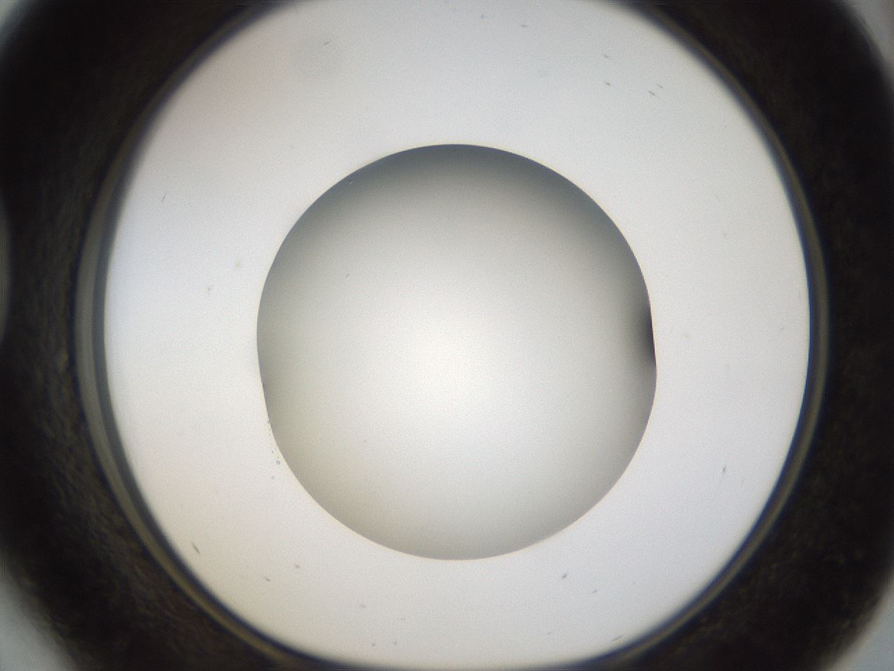 folderID39_plateID1039_batchID2095_wellNum41_profileID1_d1_r45272_ef.jpg