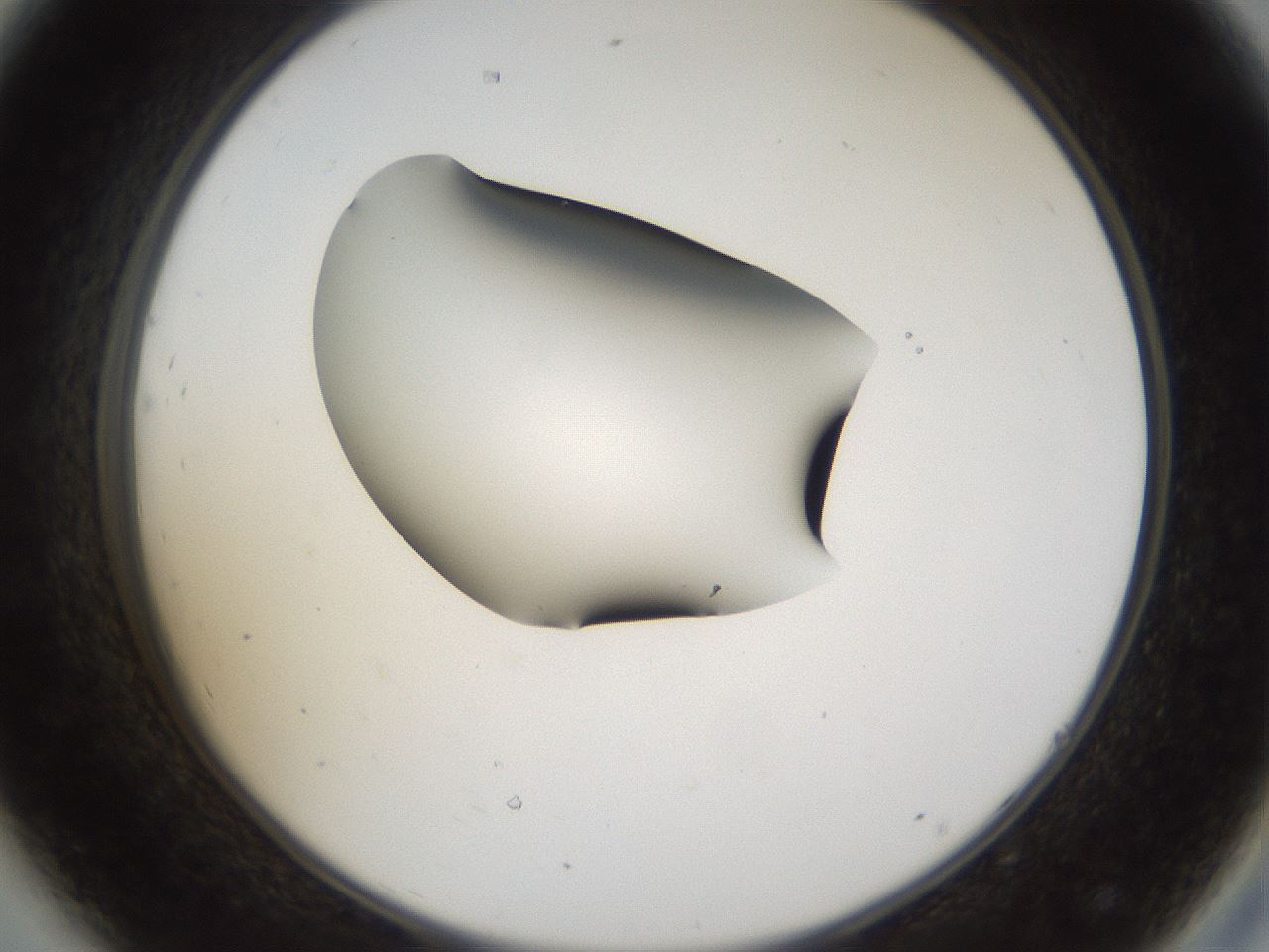 folderID39_plateID1039_batchID2095_wellNum44_profileID1_d2_r45279_ef.jpg