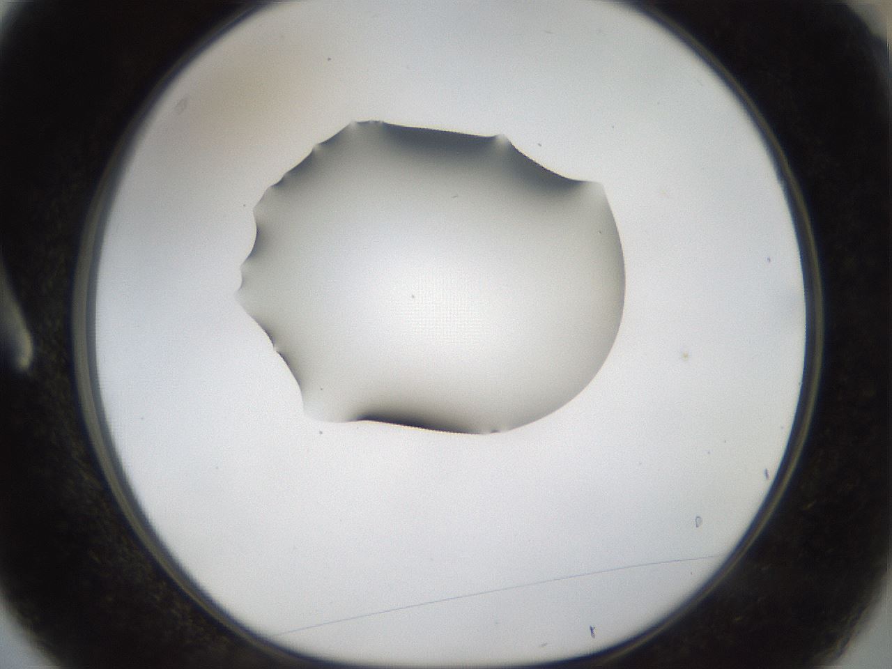 folderID39_plateID1039_batchID2095_wellNum3_profileID1_d1_r45196_ef.jpg