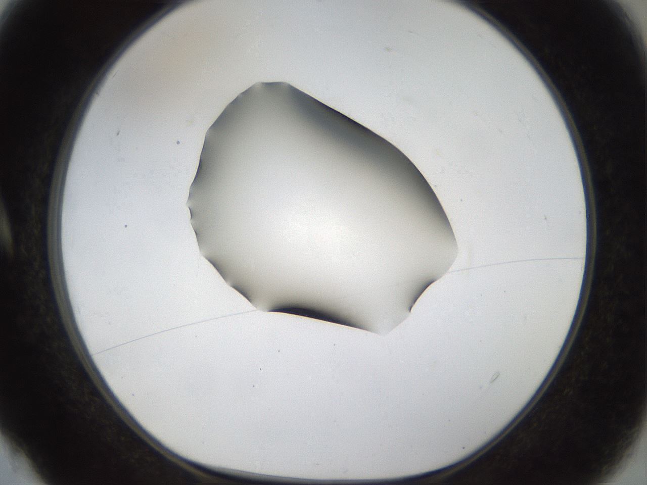folderID39_plateID1039_batchID2095_wellNum4_profileID1_d1_r45198_ef.jpg