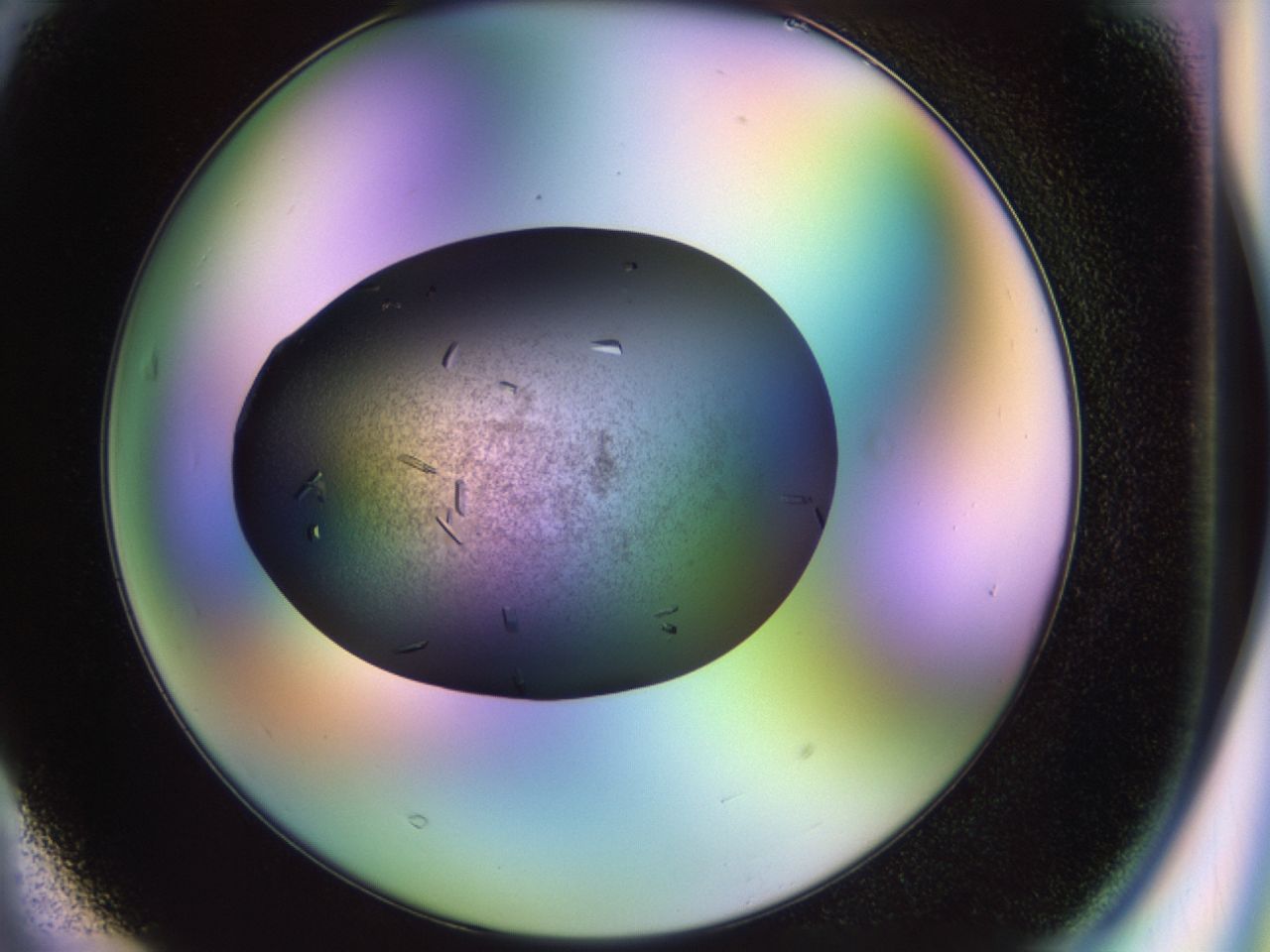 02kn_F3_ImagerDefaults_9.jpg