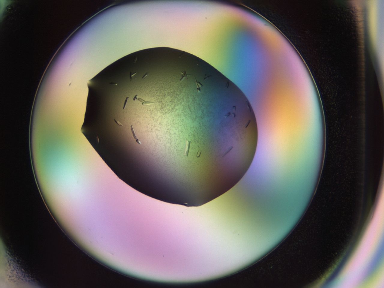 02kn_F2_ImagerDefaults_9.jpg