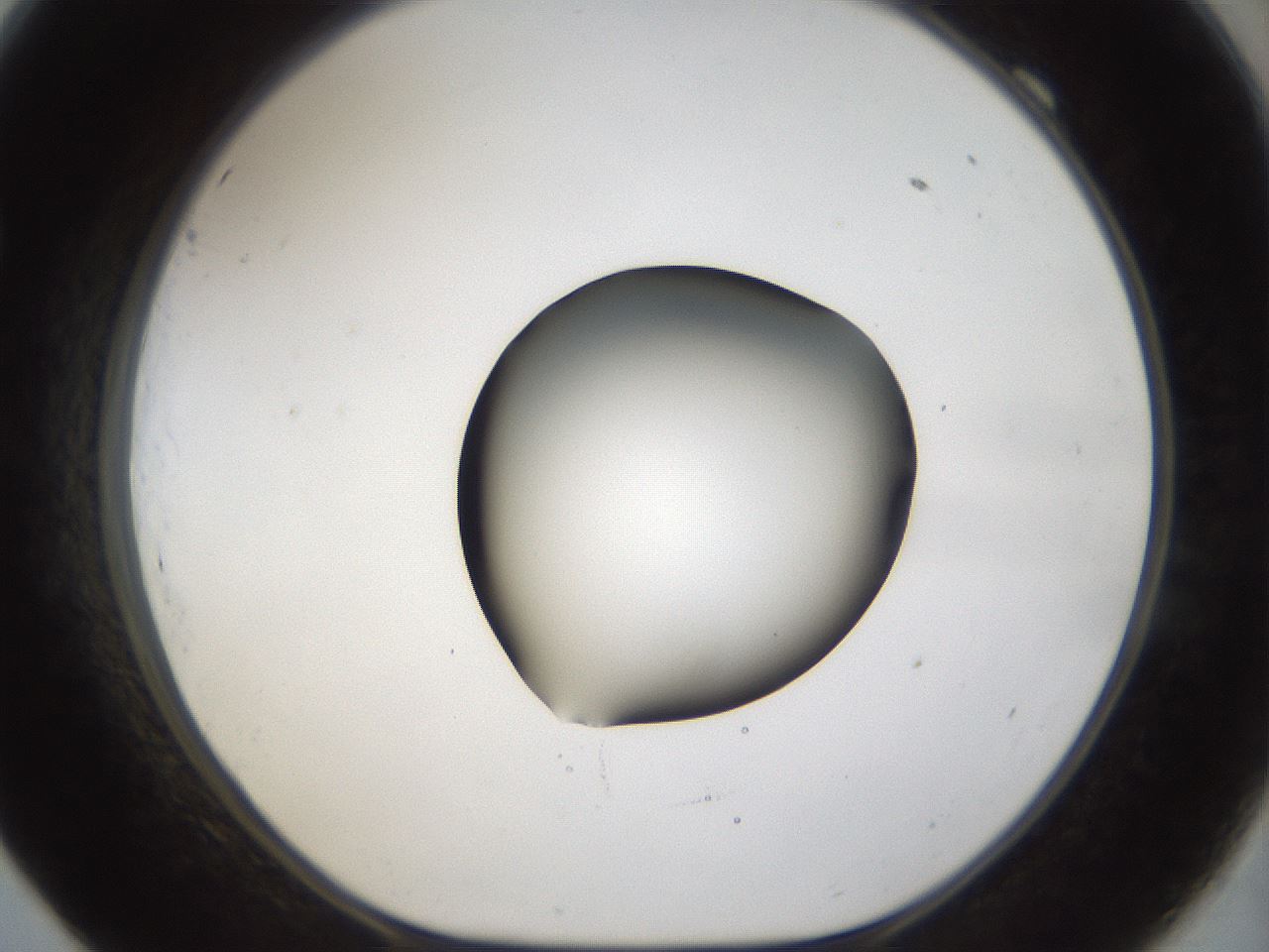 folderID39_plateID1039_batchID2095_wellNum69_profileID1_d1_r45328_ef.jpg