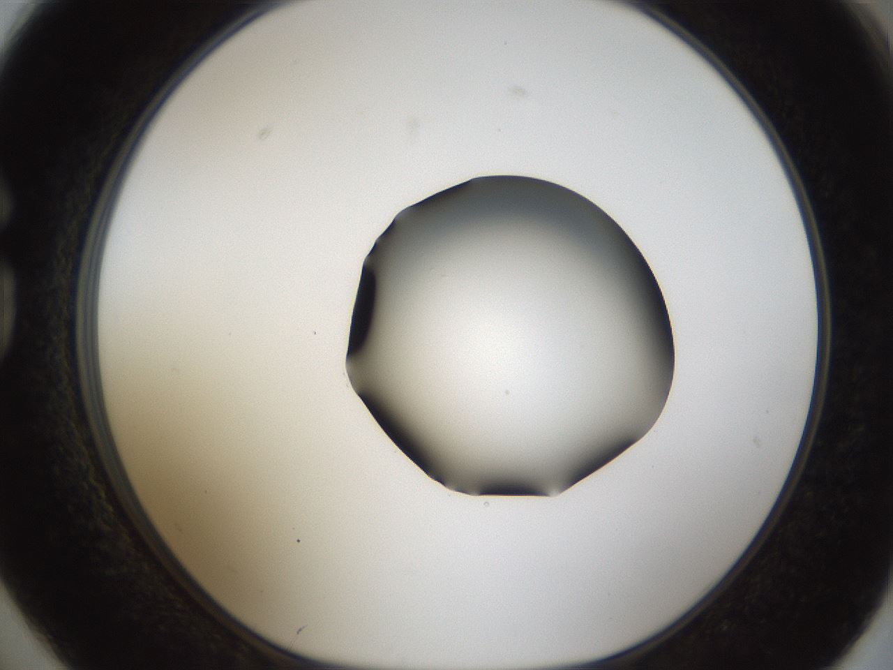 folderID39_plateID1039_batchID2095_wellNum74_profileID1_d1_r45338_ef.jpg