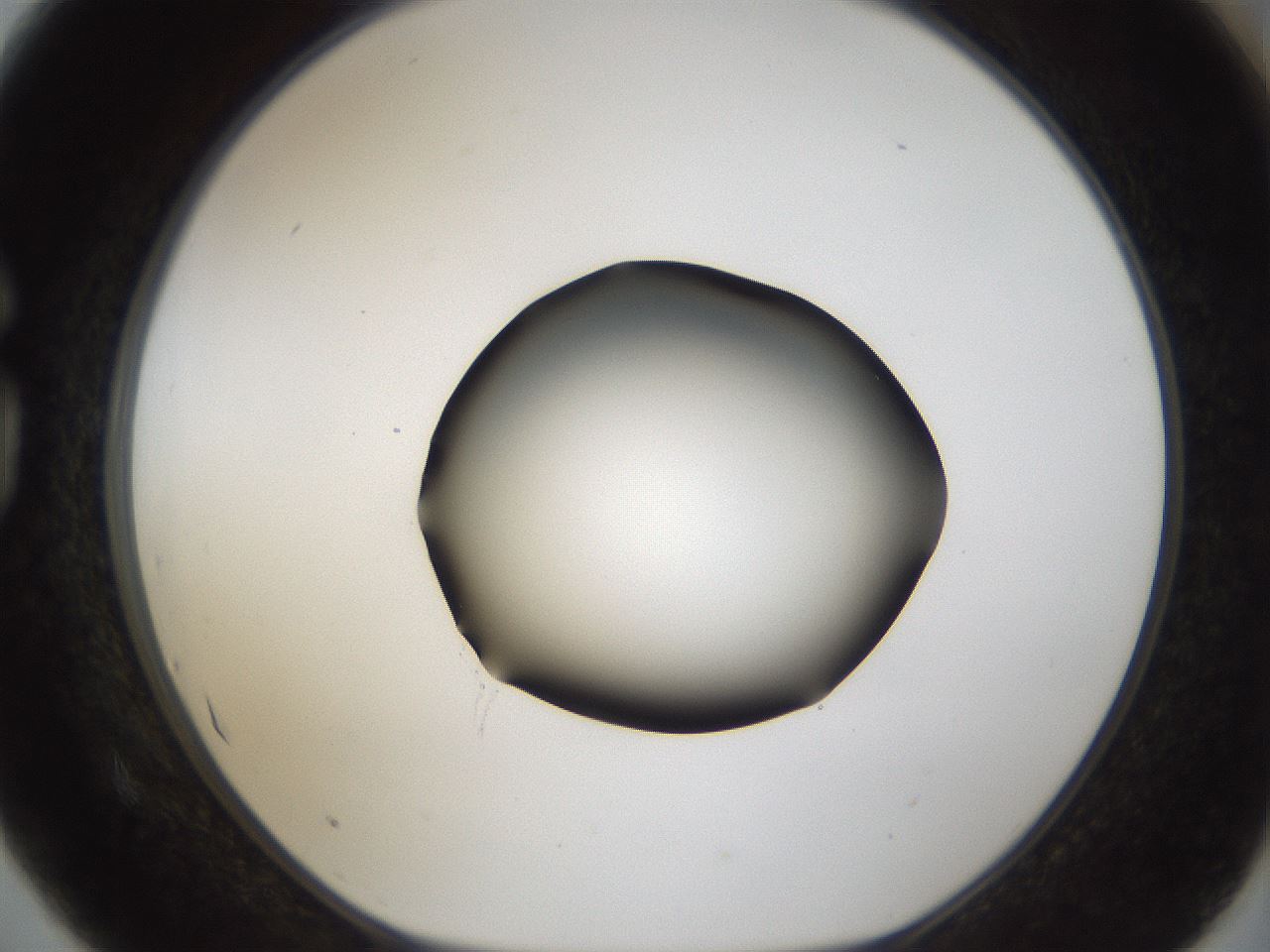 folderID39_plateID1039_batchID2095_wellNum75_profileID1_d1_r45340_ef.jpg