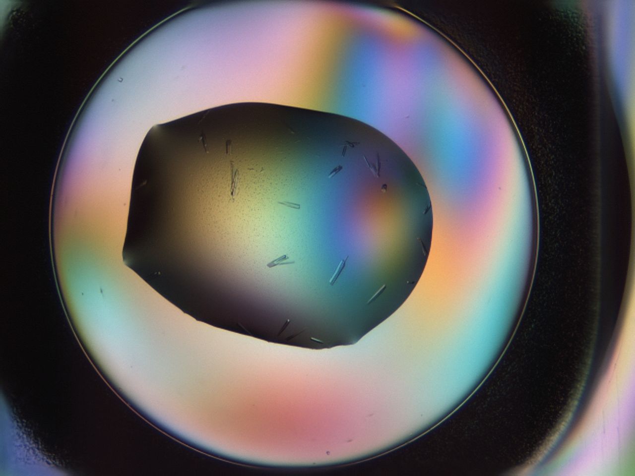 02kn_F1_ImagerDefaults_9.jpg