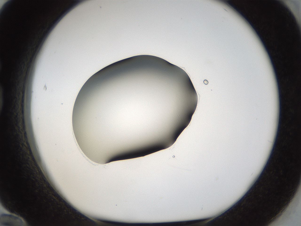 folderID39_plateID1039_batchID2095_wellNum84_profileID1_d1_r45358_ef.jpg