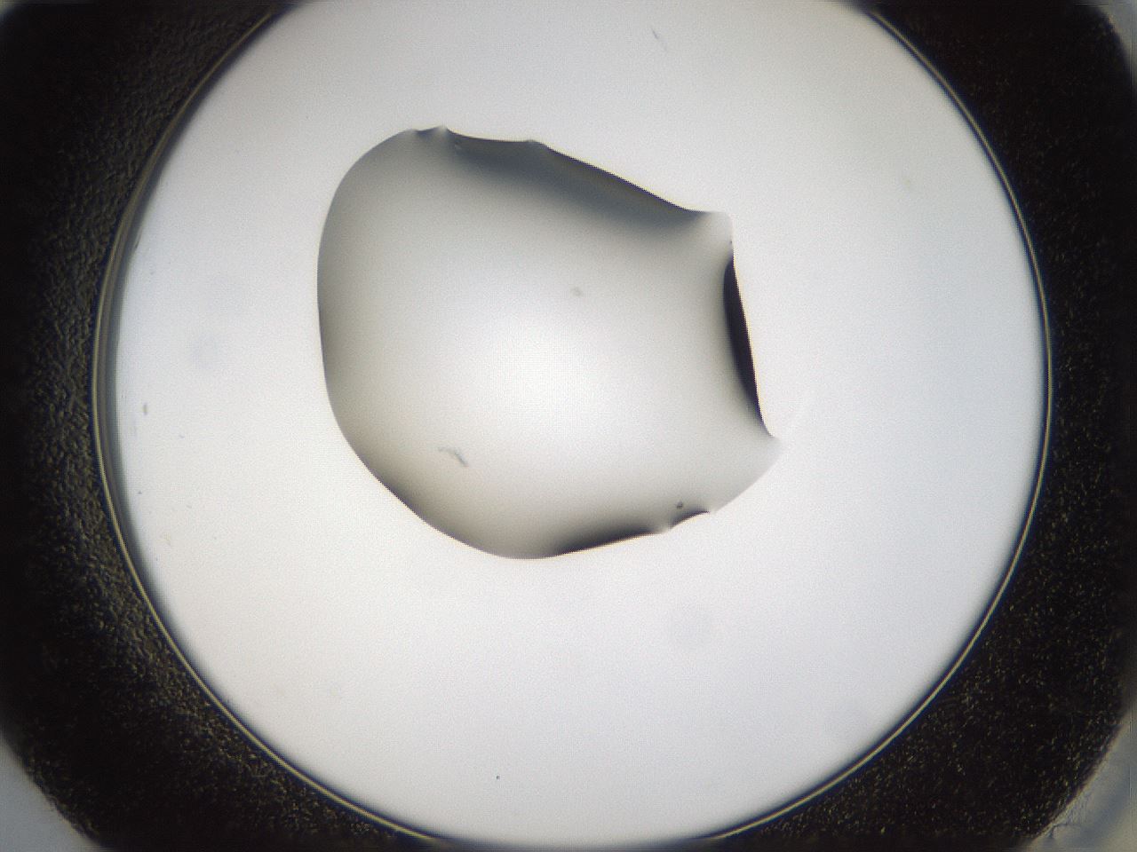 folderID39_plateID1039_batchID2095_wellNum84_profileID1_d2_r45359_ef.jpg