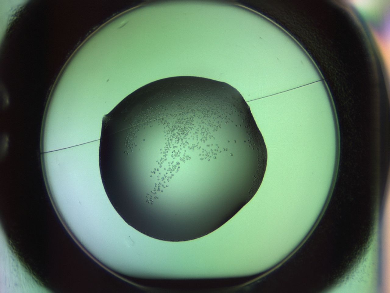 02kn_C1_ImagerDefaults_9.jpg