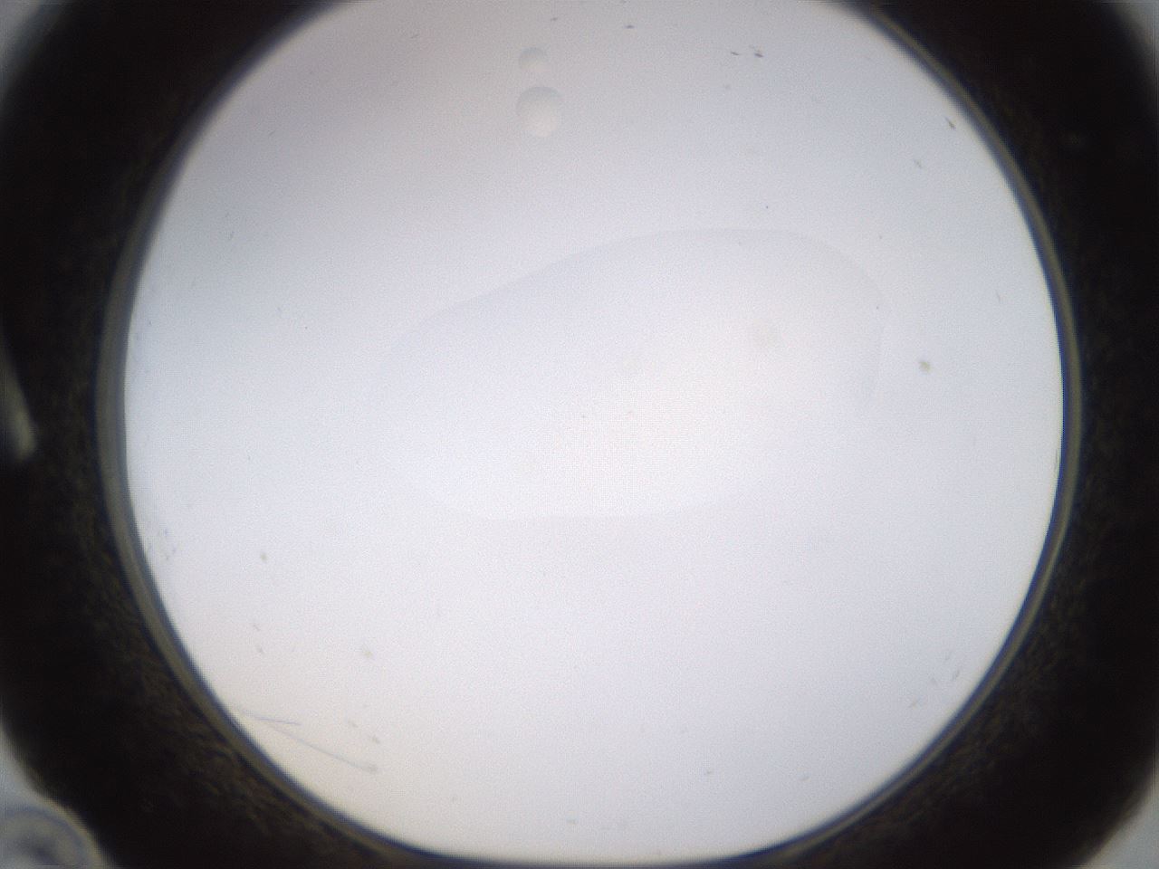 folderID400_plateID1400_batchID5057_wellNum10_profileID1_d1_r85563_ef.jpg