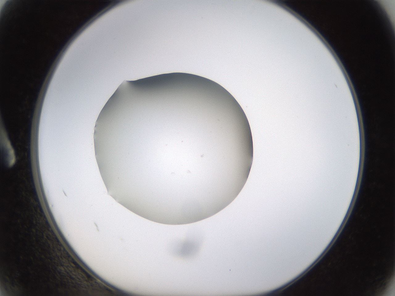 folderID400_plateID1400_batchID5057_wellNum2_profileID1_d1_r85555_ef.jpg