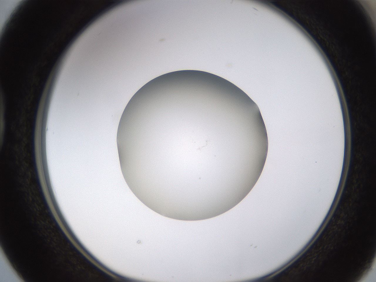 folderID400_plateID1400_batchID5057_wellNum38_profileID1_d1_r85591_ef.jpg