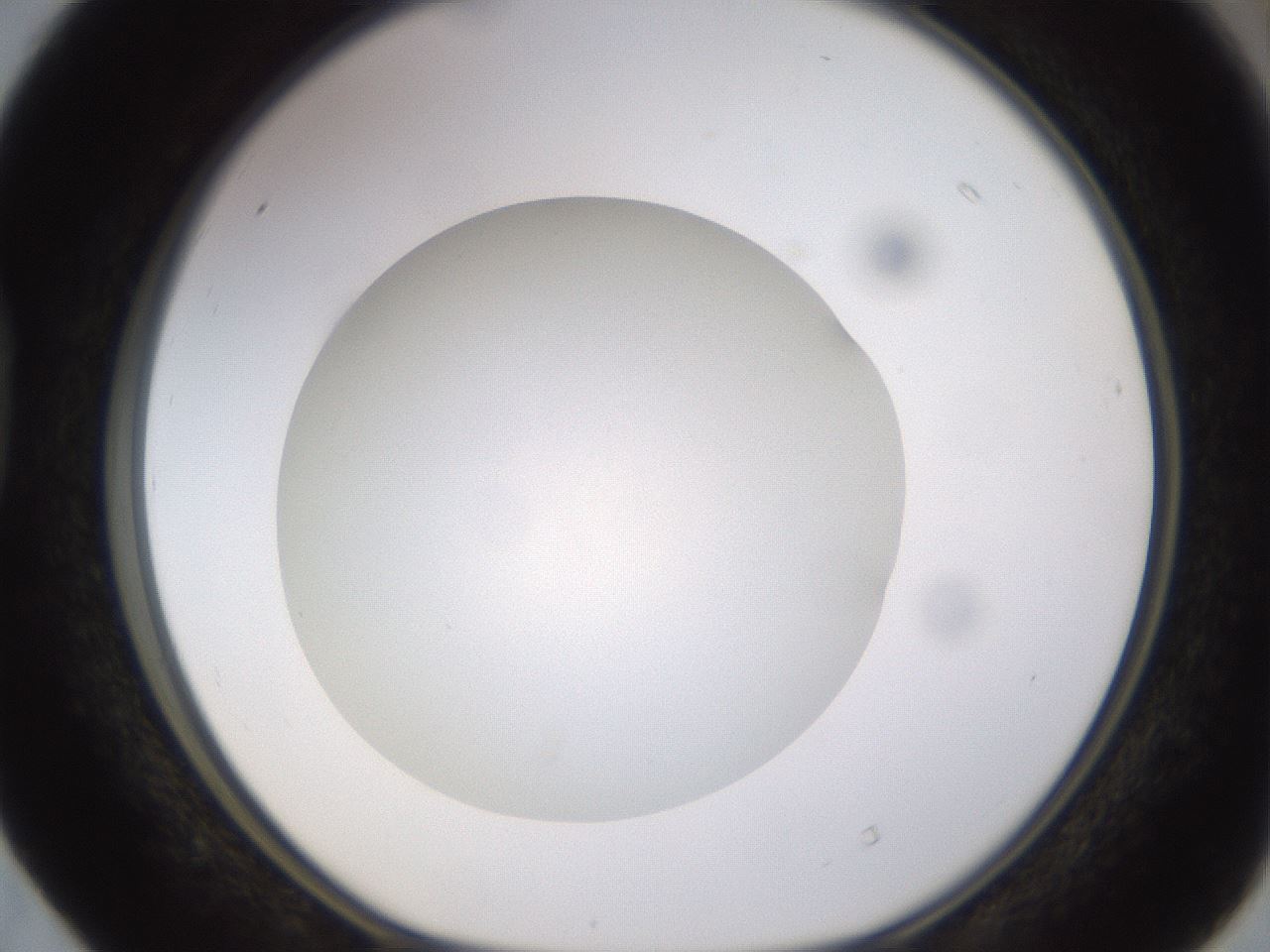 folderID400_plateID1400_batchID5057_wellNum40_profileID1_d1_r85593_ef.jpg