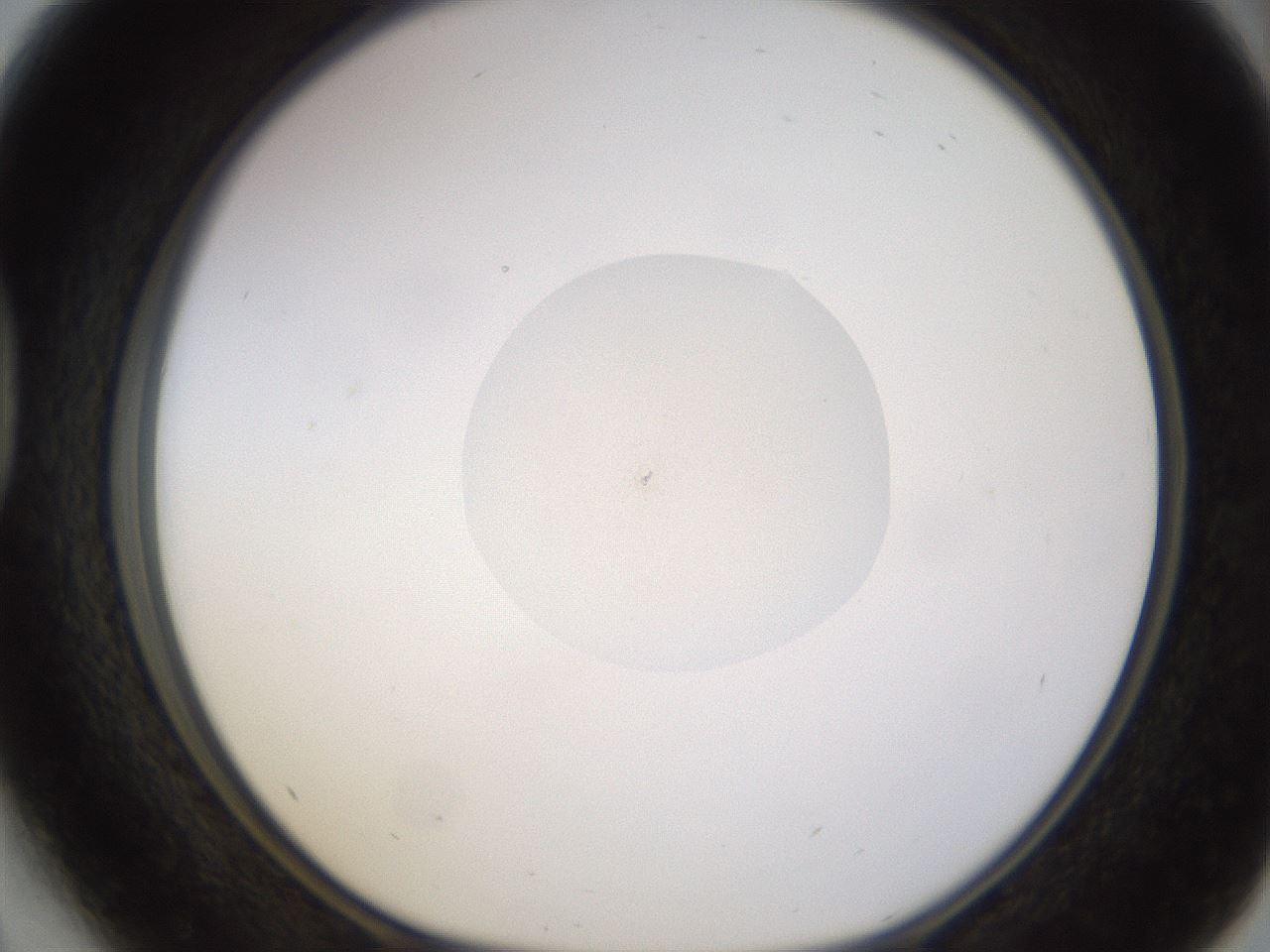 folderID400_plateID1400_batchID5057_wellNum41_profileID1_d1_r85594_ef.jpg