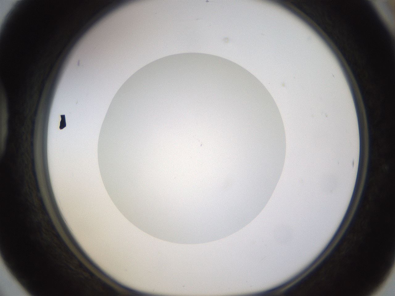 folderID400_plateID1400_batchID5057_wellNum42_profileID1_d1_r85595_ef.jpg