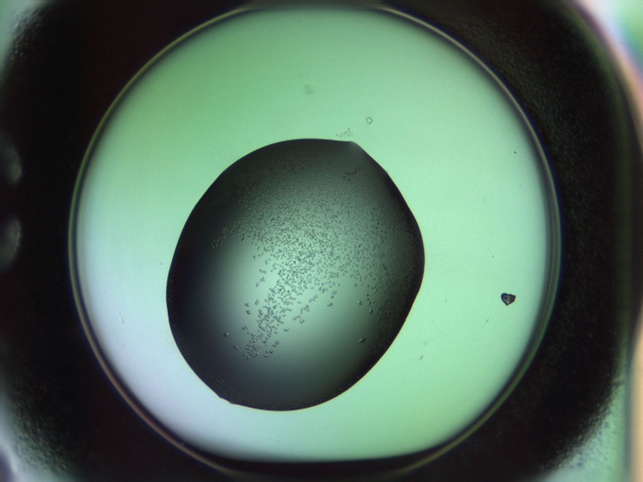 02kn_C3_ImagerDefaults_9.jpg