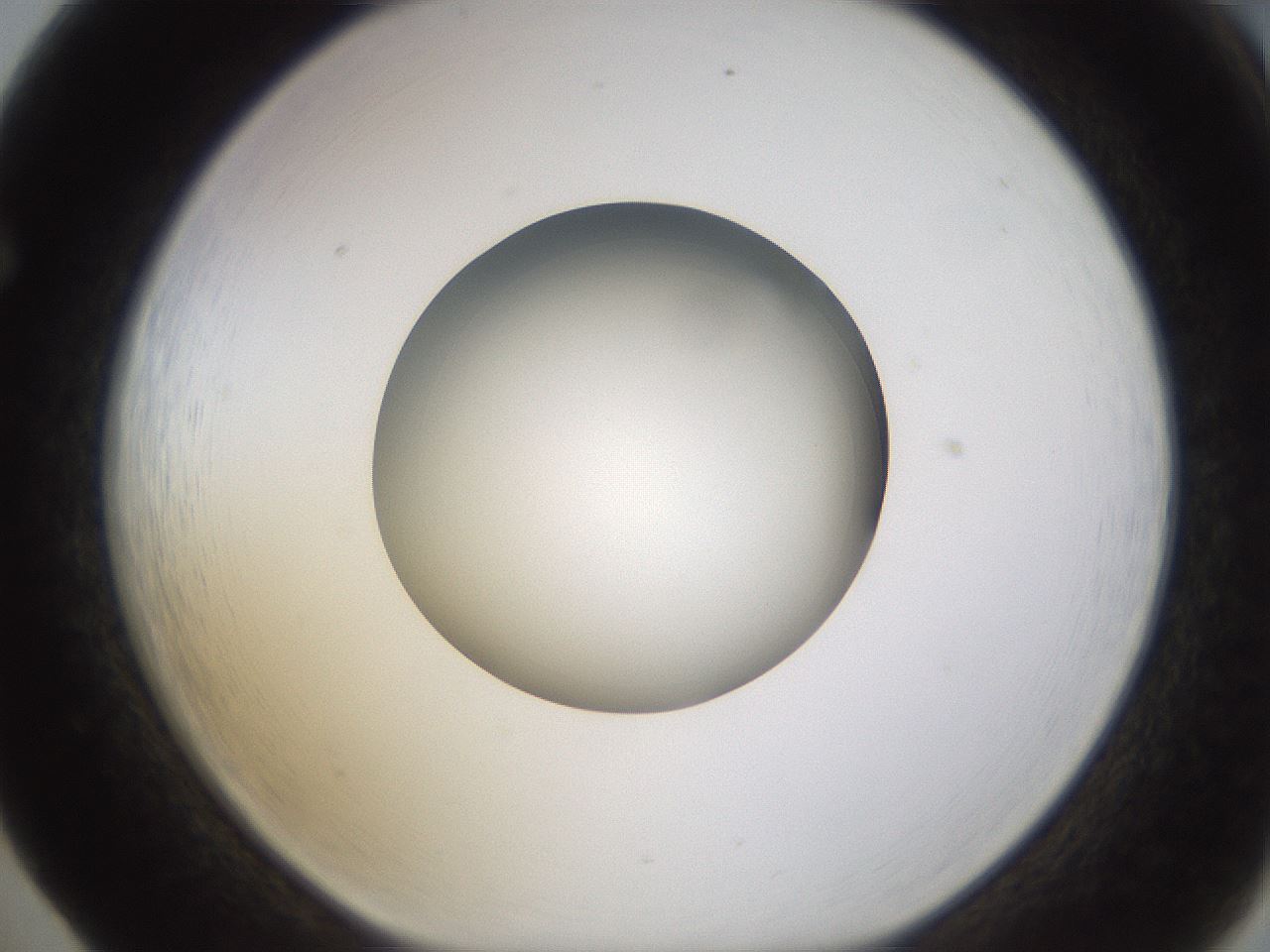 folderID400_plateID1400_batchID5057_wellNum65_profileID1_d1_r85618_ef.jpg