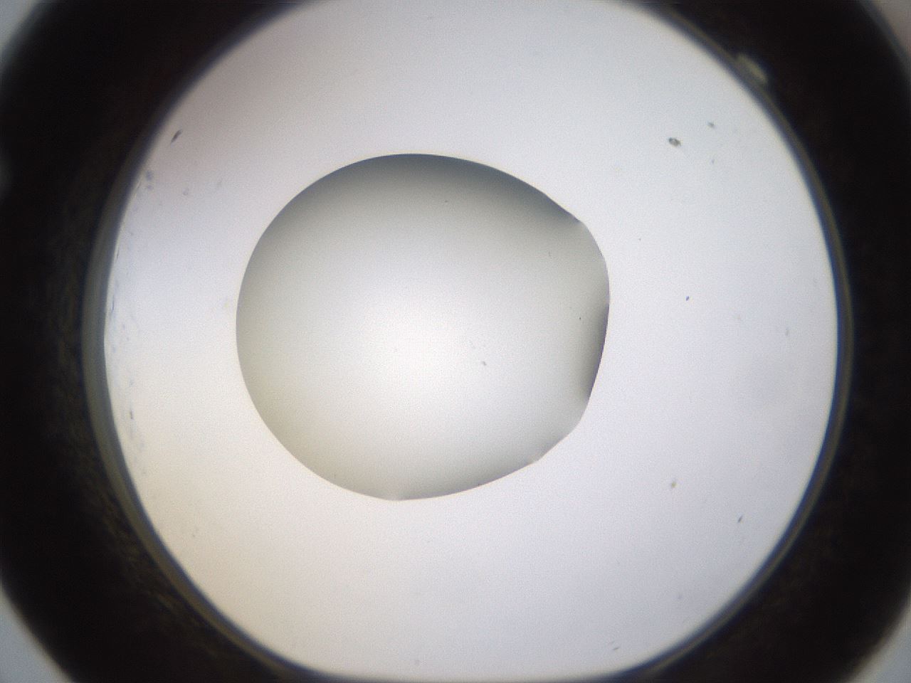 folderID400_plateID1400_batchID5057_wellNum69_profileID1_d1_r85622_ef.jpg